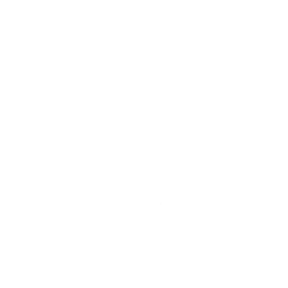 FIRST NYC Logo